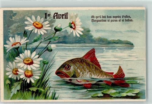 1907 Ein Fisch halb auf dem trockenen Margeriten Lithographie