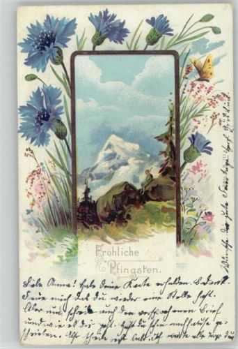 Kornblumen Schmetterling Litho 1904 AK