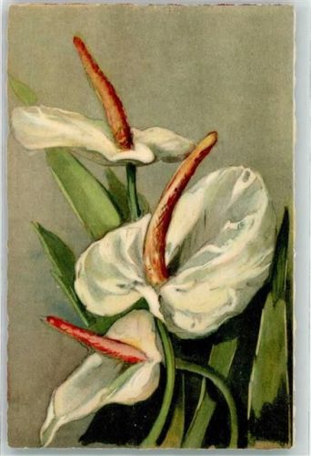 1925 - 1930 Blumen