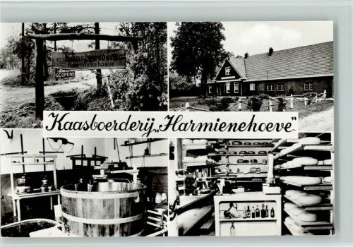 Käse Herstellung