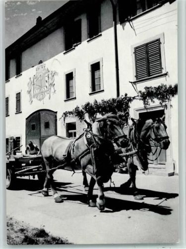 Neunkirch 1965 Bauernhof , Tiergespann - Schweizer Pfadfinderinnen