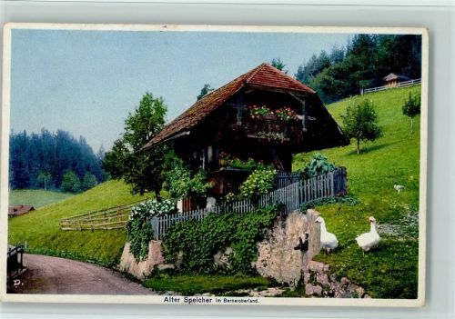 Alter Speicher im Berner Oberland