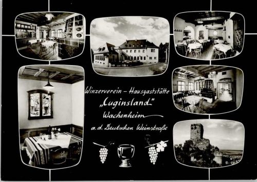 Wachenheim Winzerverein Hausgaststätte Luginsland Innenaufnahmen Gastraum Kachelofen Mehrfachaufnahme