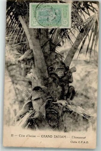 Abidjan 1922 Schimpanse Grand Bassam Briefmarke Bildseite