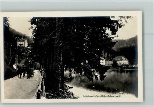 Schluchsee Ortsansicht Pferdekutsche