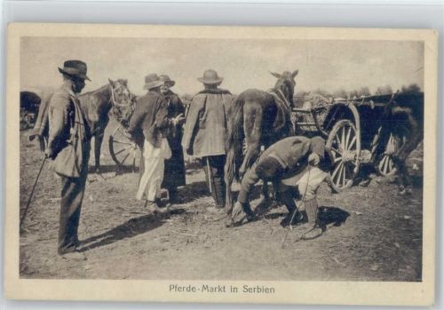 1915 Pferdemarkt in Serbien