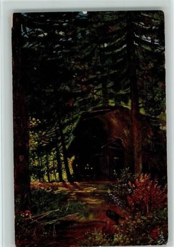 Schwarzwaldhäuser - Köhlerhütte - Serie IV Blatt 19 AK