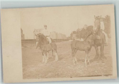 Privatfoto AK Soldaten mit Pfohlen WK I AK