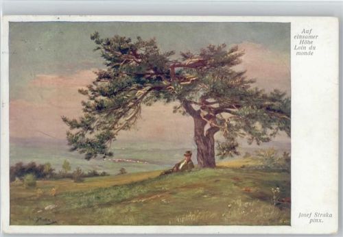 1914 Wiener Kunst Nr. 1629 - Auf einsamer Höhe - Baum