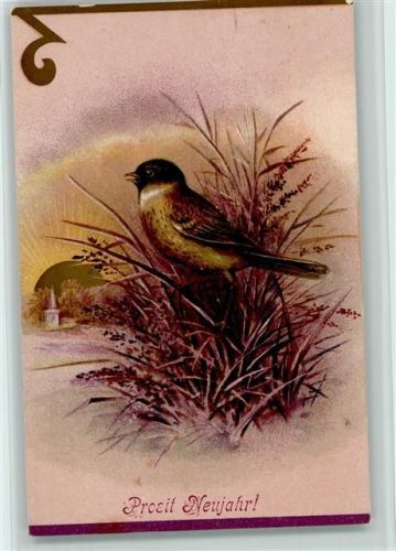 Singvogel - Sonnenuntergang 1908 AK