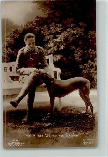 1916 Prinz August Wilhelm mit seinem Hund Nr. 7726 Liersch