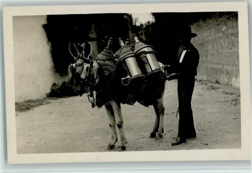 Berufe - Spanien Händler mit seinem Esel Foto 1932 AK Volkstyp