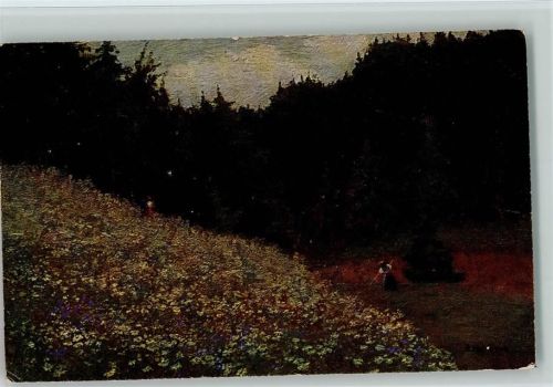 Schwarzwald Idyll