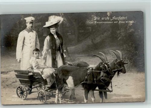 Kronprinzenpaar mit Prinz Wilhelm auf einer Ziegenkutsche Fotomontage