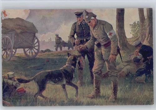Ein treuer Helfer - Sanitätshund - Rote Kreuz Helfer holen Verwundete