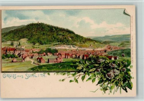 Suhl Panorama Blumen