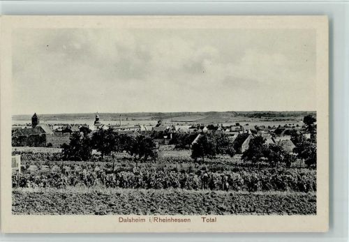 67592 W6523 Flörsheim-Dalsheim - Total, gute Erhaltung AK