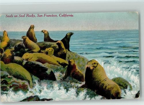 Seals on seal Rocks, San Francisco USA 1910 AK