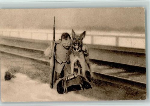 Hund stützt einen Verwundeten - Verein für Sanitätshunde