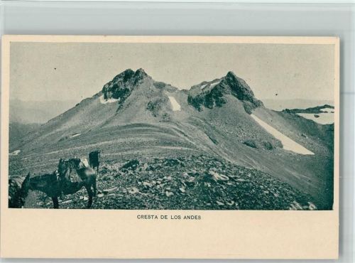 Cresta de los Andes