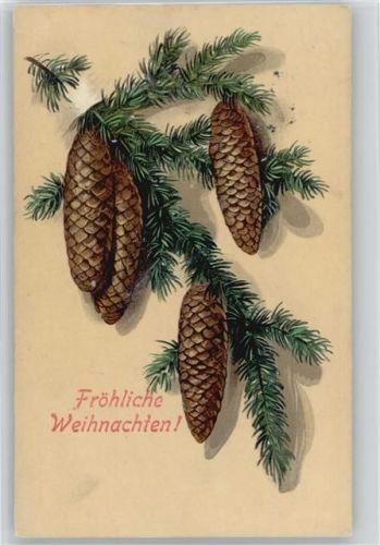 Schöne Tannenzapfen 1906 AK