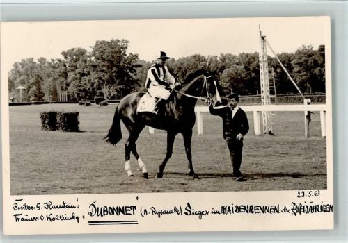 1963 Pferd Dubonnet - Sieger im Haidenrennen - gute Erhaltung