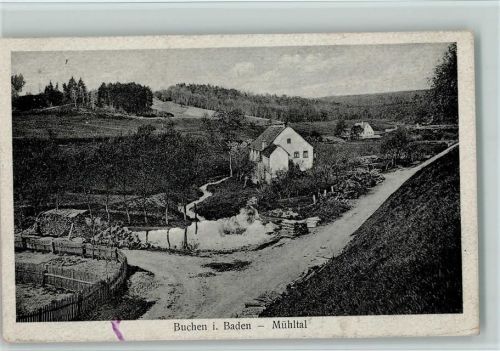 Buchen 1924 Mühltal - I- schmutzig