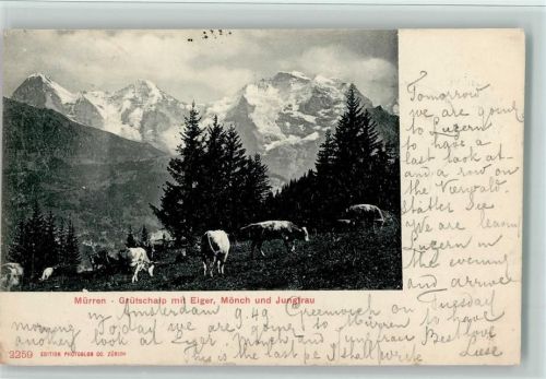 Mürren Mürren Grütschalp Eiger Mönch Jungfrau Kühe Bäume