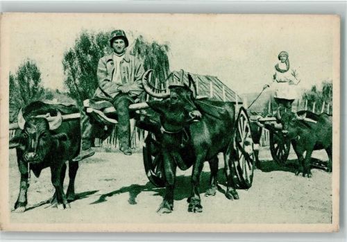 1928 Bauern mit Ochsengespanne