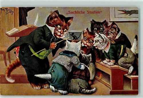Sachliche Studien Schule Katzen Tiere vermenschlicht