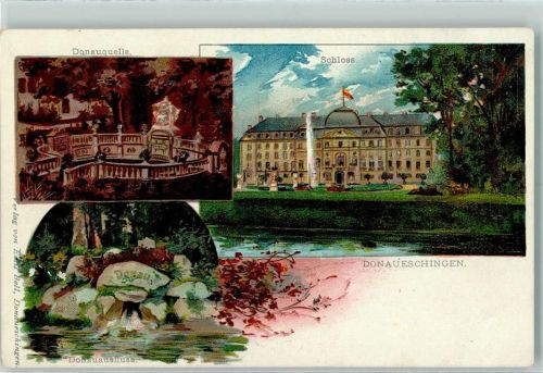 Donaueschingen Donauquelle Schloss Donauausfluss Lithographie