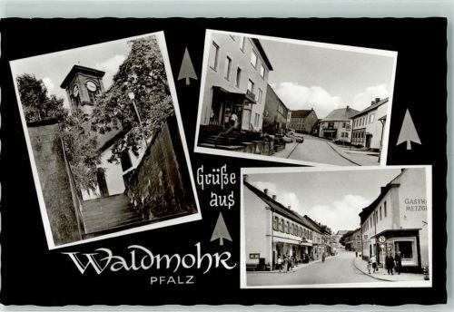 Waldmohr