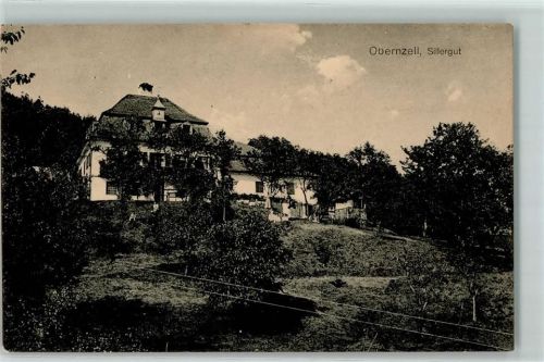 94107 W8391 Obernzell - Sillergut