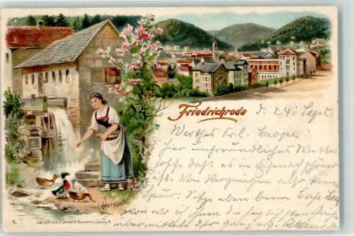 Friedrichroda 1898 Bäuerin Tracht Enten Wasserrad