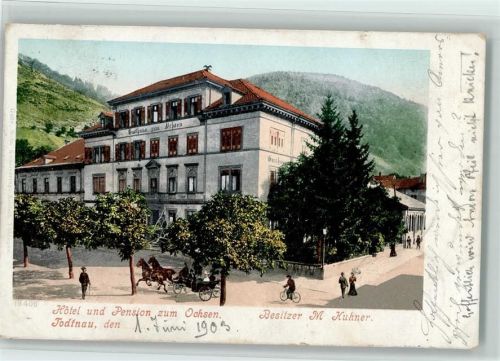 Todtnau 1903 Hotel Pension Zum Ochsen Pferdekutsche