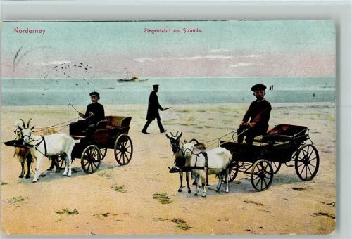 Norderney 1910 Ziegenfahrt am Strande