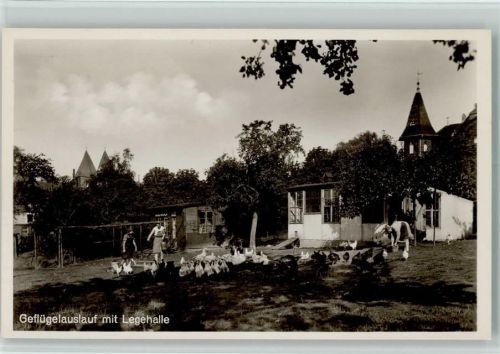 Obernkirchen 1938 Geflügelauslauf mit Legehalle - Wirtsch. Frauenschule , sehr gute Erhaltung AK