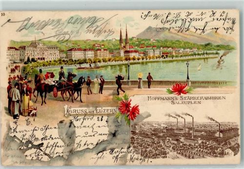 Luzern 1902 Gruss aus Werbung Hoffmann Stärke Nr. 10