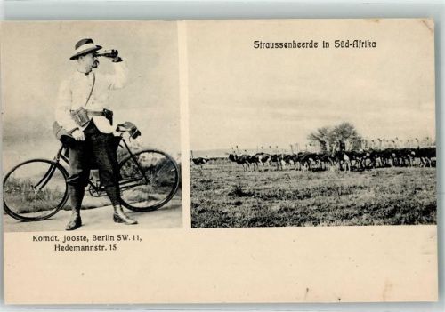 Straußenherde und Burenkommandant Koos Jooste mit Fahrrad