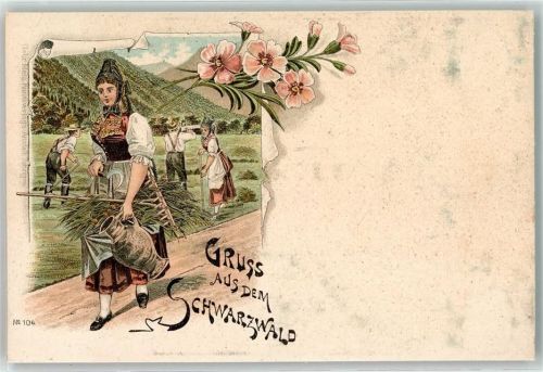 1899 Gruss aus dem Schwarzwald Litho Landwirtschaft Heuernte Verlag Gebr. Metz Nr. 104