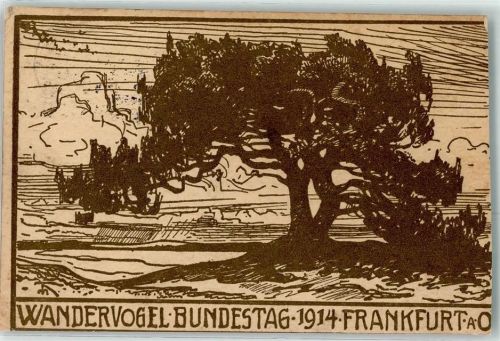 Frankfurt 1914 Wandervogel-Bundestag