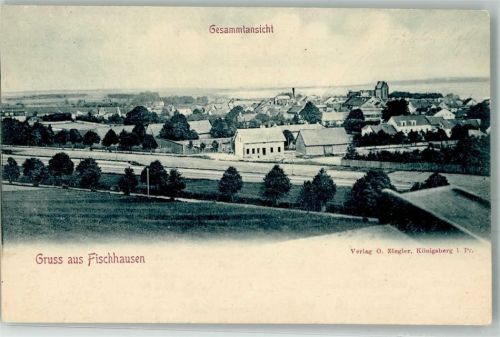 Primorsk 1915 Feldpost WK I leichter Bug