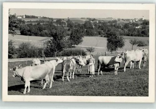 84405 W8250 Dorfen Privatfoto AK Rinderweide Bäuerin Ort handschriftlich