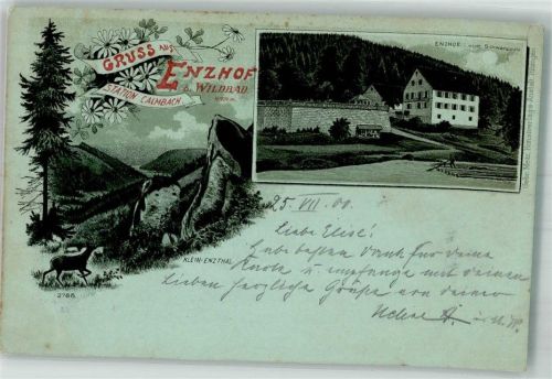 Bad Wildbad 1900 Enzhof Klein-Enzthal Hirsch