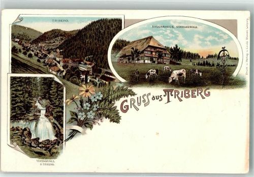 Triberg Bauernhaus Rinderweide Wasserfall
