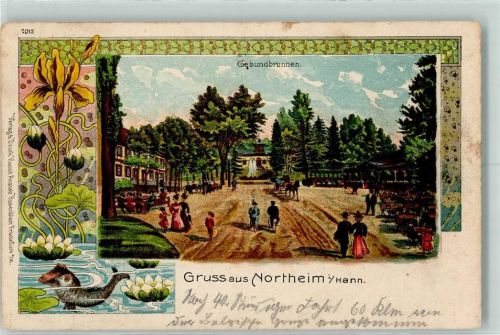 Northeim 1914 Gesundbrunnen Seerosen Fisch
