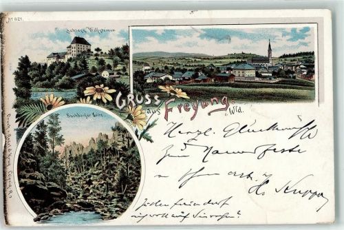 Freyung 1898 Schloss Wolfsteinen Kirche Blumen Buchberger Leite