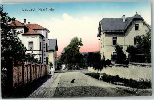 Laubach Hain-Straße Dackel Spitz