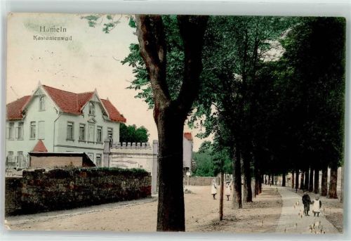 31785 W3250 Hameln 1915 - Kastanienwall Allee Kinder
