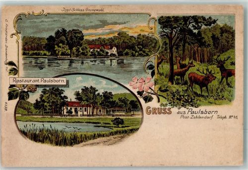 Zehlendorf 1905 Gasthaus Paulsborn Jagd-Schloß Grunewald Wildwiese